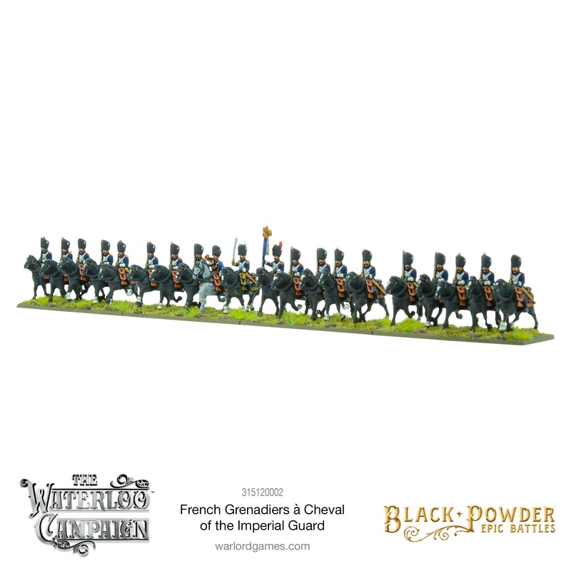Black Powder Epic Battles: Waterloo - French Grenadiers  cheval of the Imperial Guard