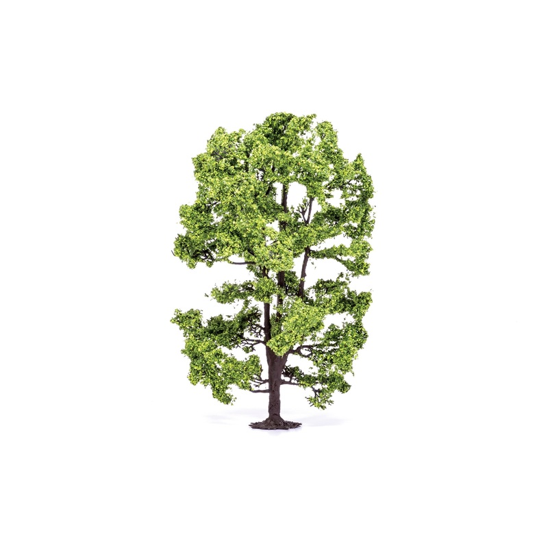 Acacia Tree - 15cm