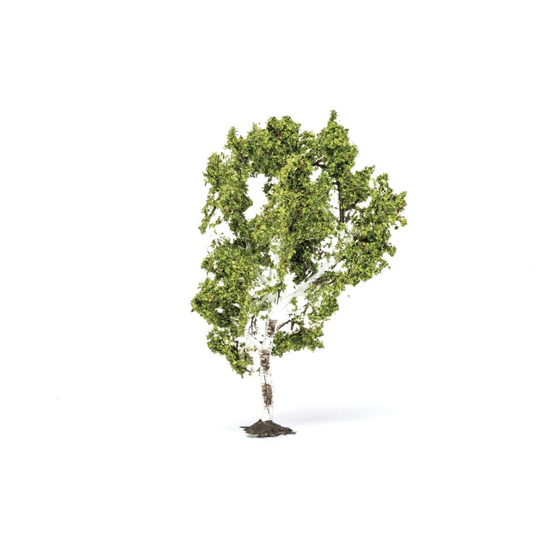 Birch Tree - 11.5cm