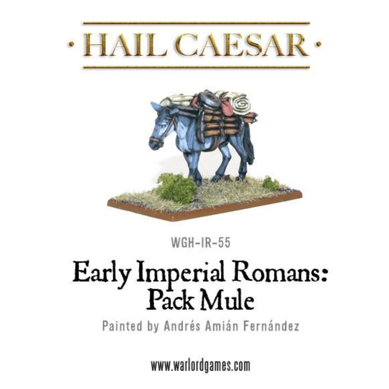 Early Imperial Romans: Pack Mule