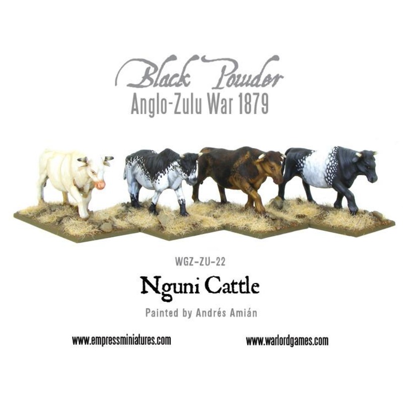 Nguni Cattle