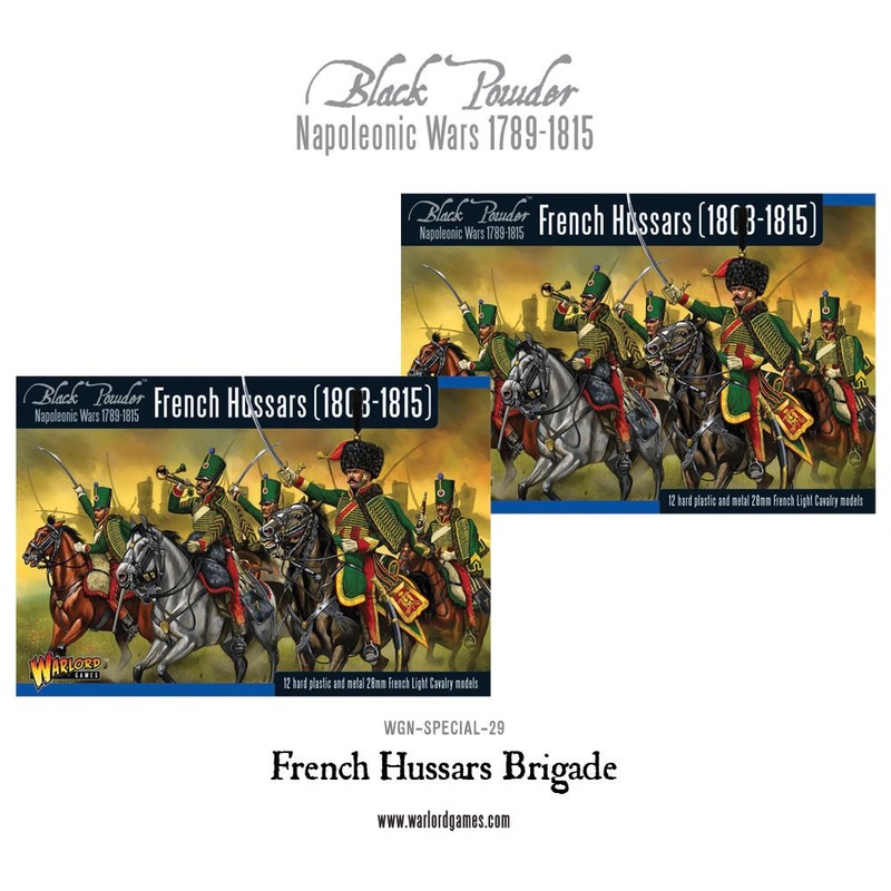 Napoleonic French Hussars Brigade