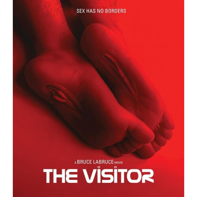 The Visitor