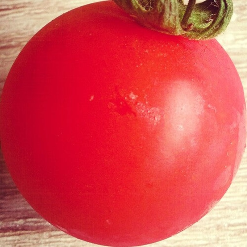 Pomodorosa - pomodorosa