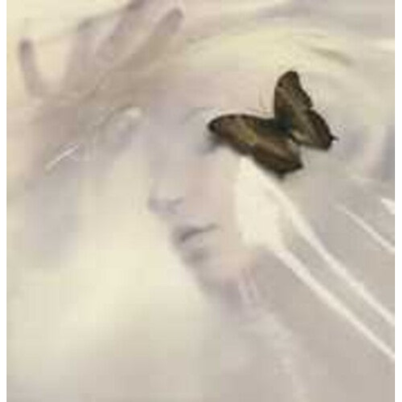 Return to Dust - Speak Like The Dead