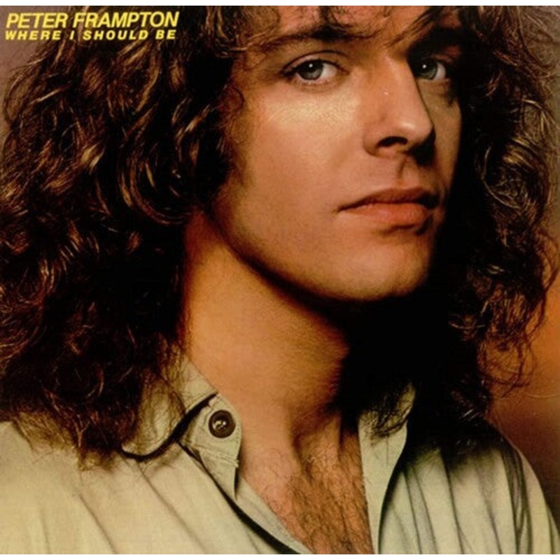 Peter Frampton - Where I Should Be