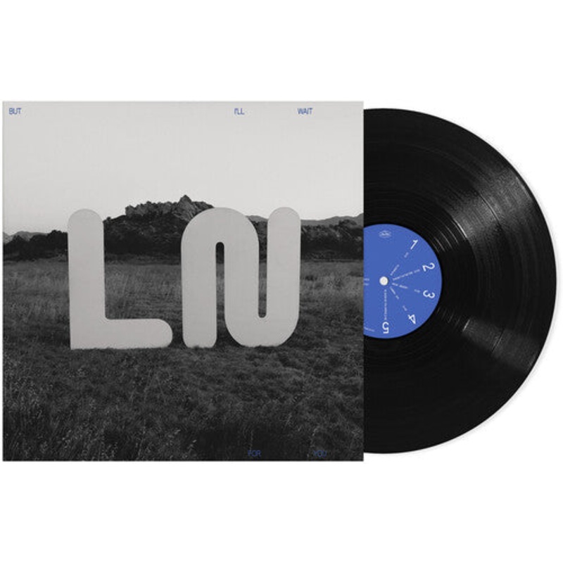 Local Natives - But I'll Wait For You