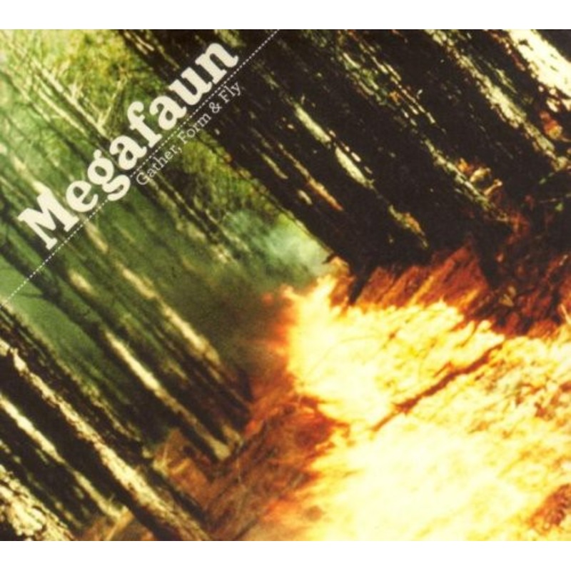 Megafaun - Gather Form & Fly