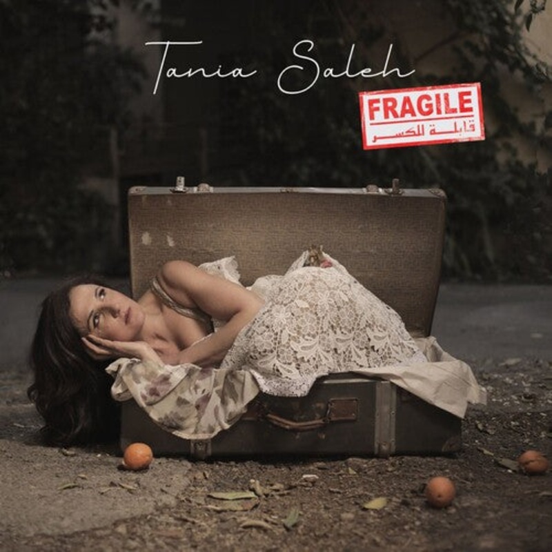 Tania Saleh - Fragile
