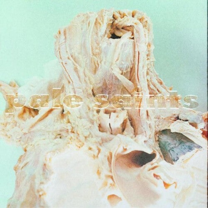 Pale Saints - In Ribbons