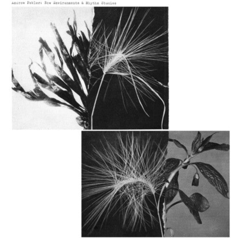 Andrew Pekler - New Environments And Rhythm Studies