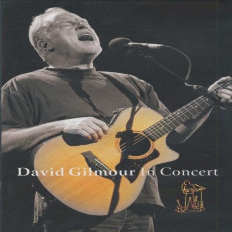 David Gilmour In Concert