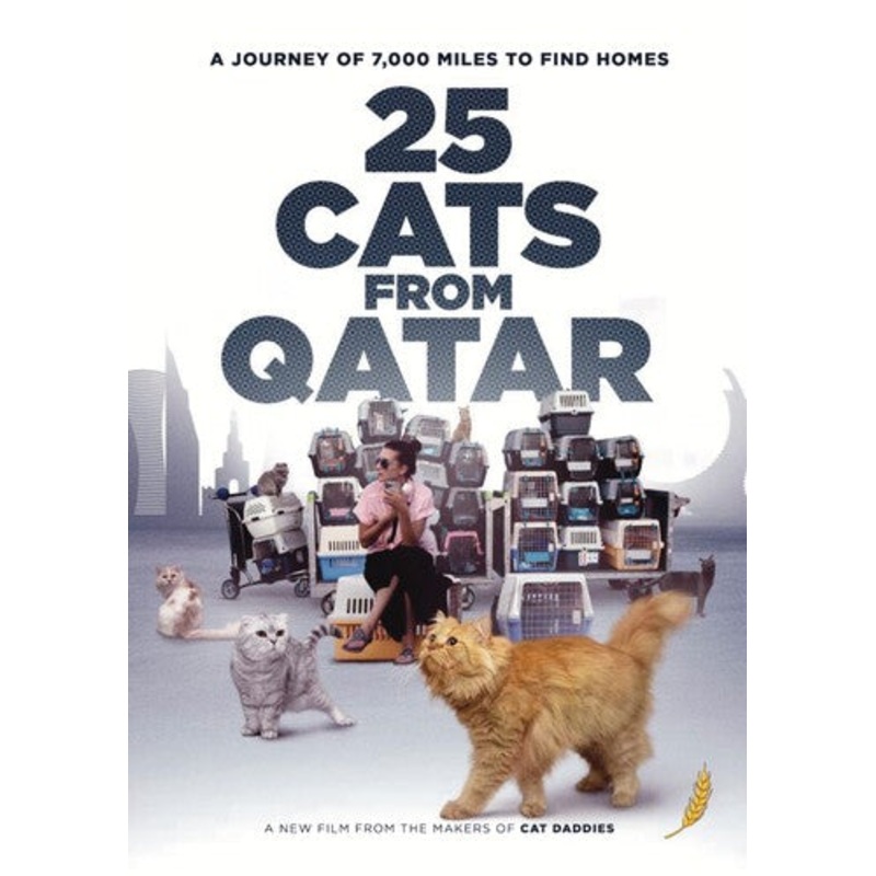 25 Cats from Qatar