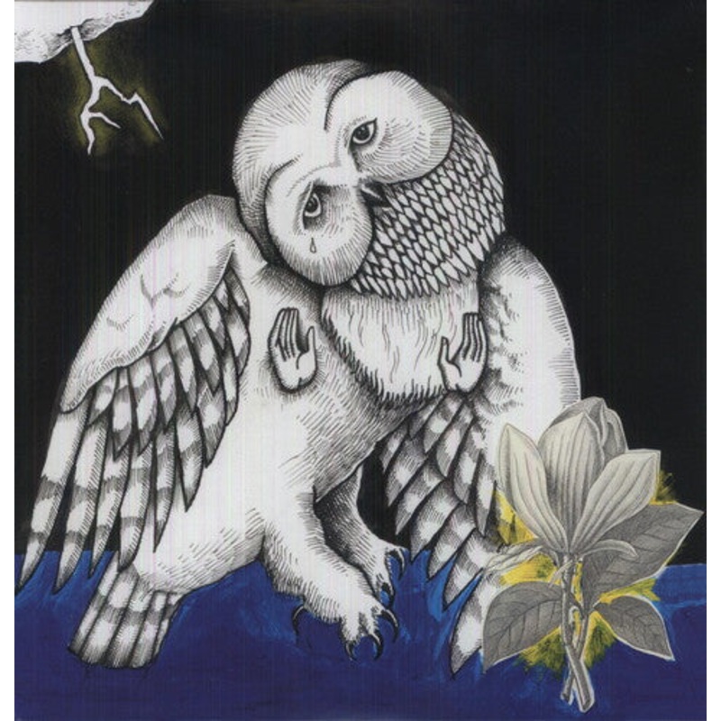 Songs: Ohia - Magnolia Electric Co.