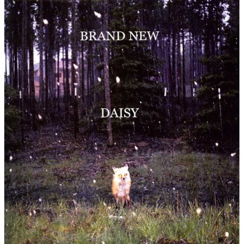 Brand New - Daisy