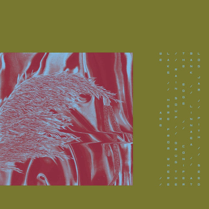 Pariah - Here from Where We Are