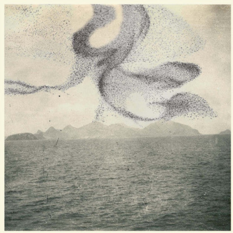 Snow Ghosts - Small Murmuration