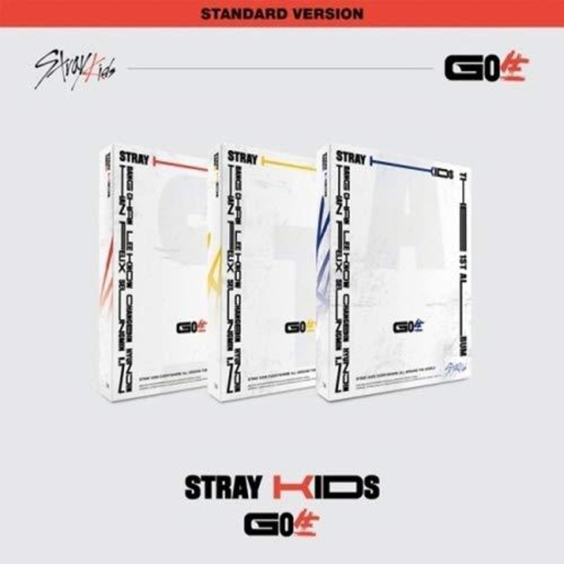 Stray Kids - GO LIVE