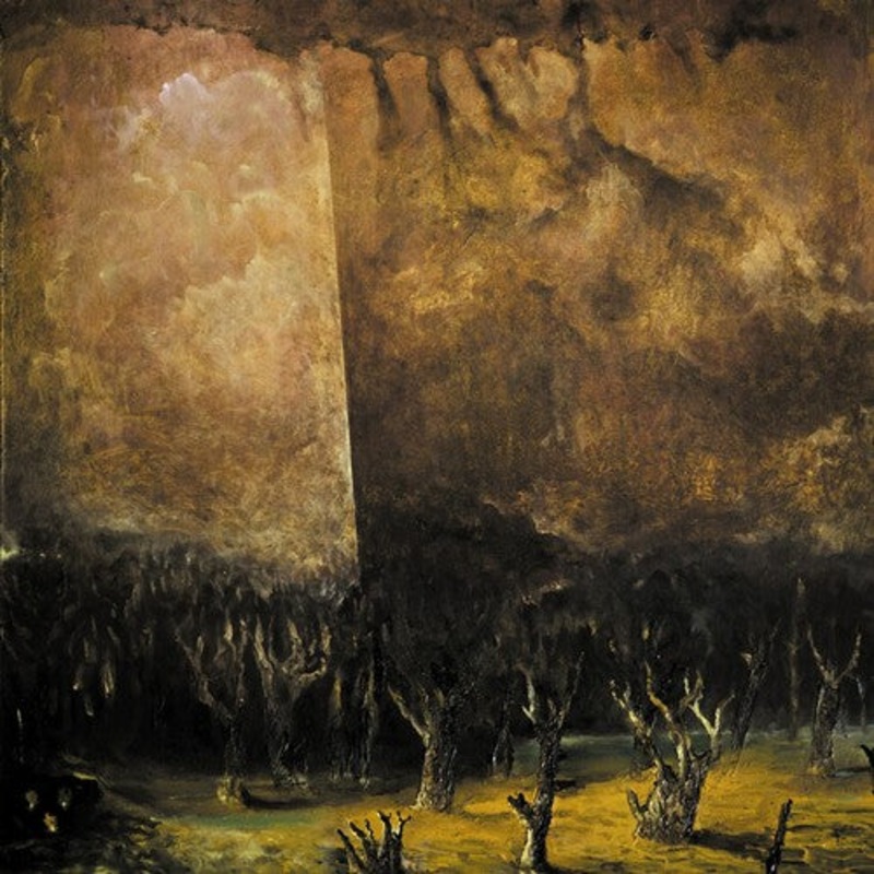 Tenebrae in Perpetuum - Vacuum Coeli