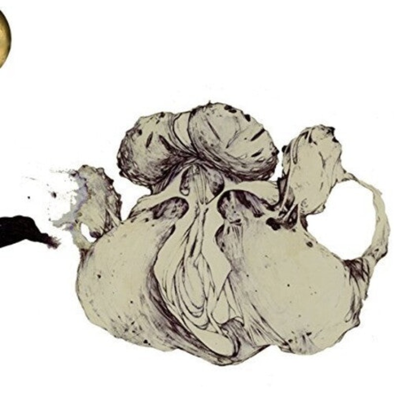 Coil - Ape Of Naples