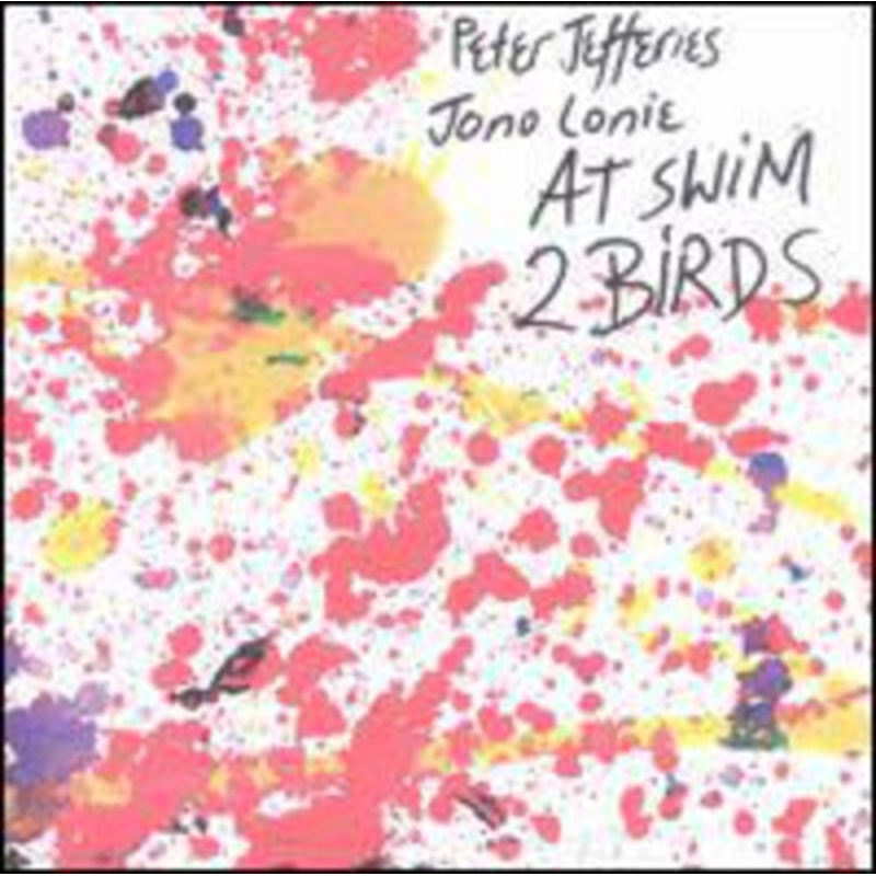 Peter Jefferies - At Swim 2 Birds