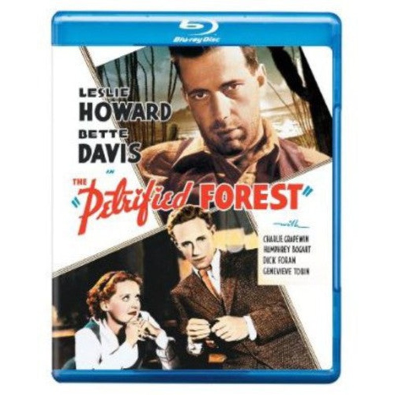 The Petrified Forest