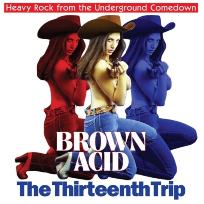 Brown Acid - the Thirteenth Trip/ Various - Brown Acid - The Thirteenth Trip (Various Artists)