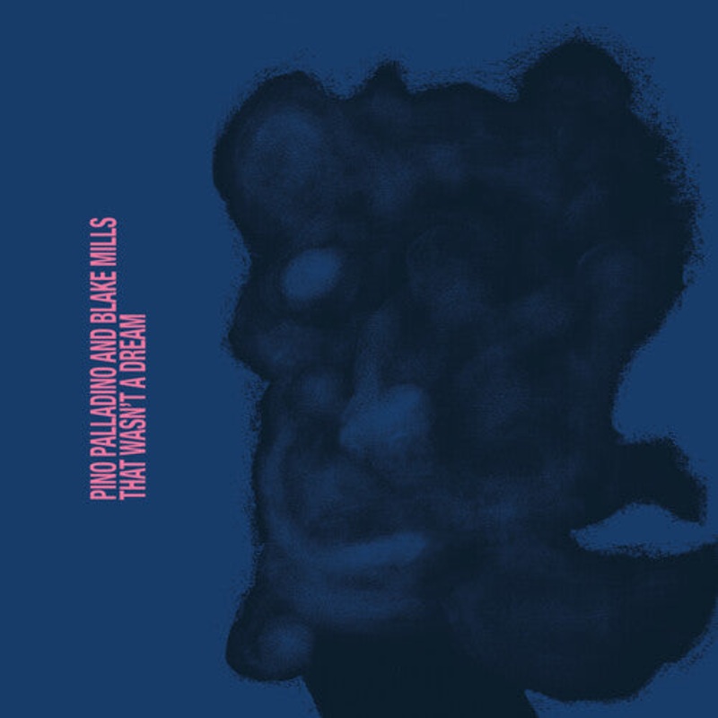 Pino Palladino / Blake Mills - That Wasn't A Dream