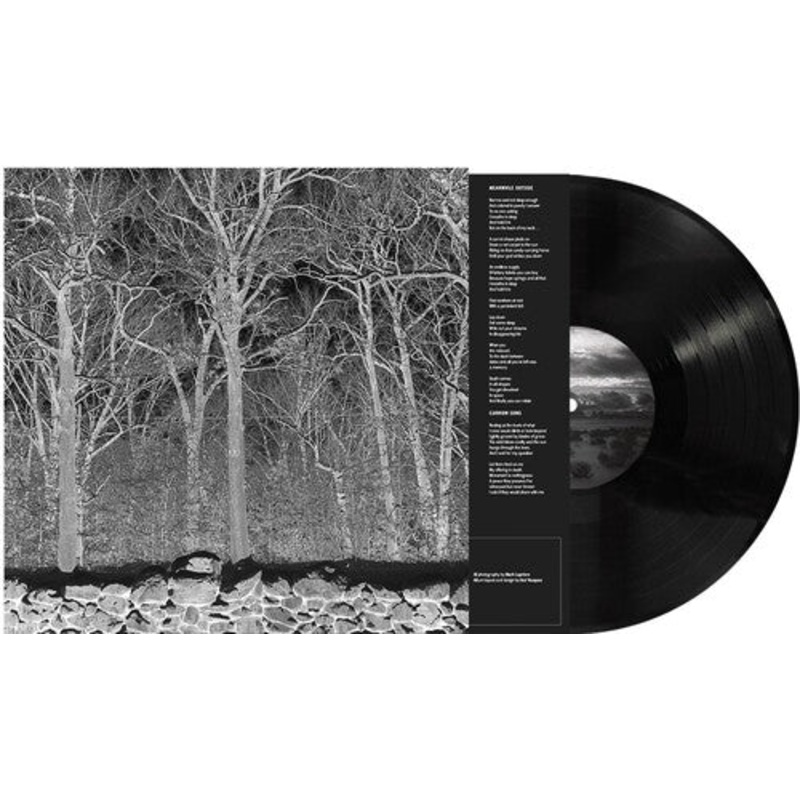 Pile - Sunshine and Balance Beams