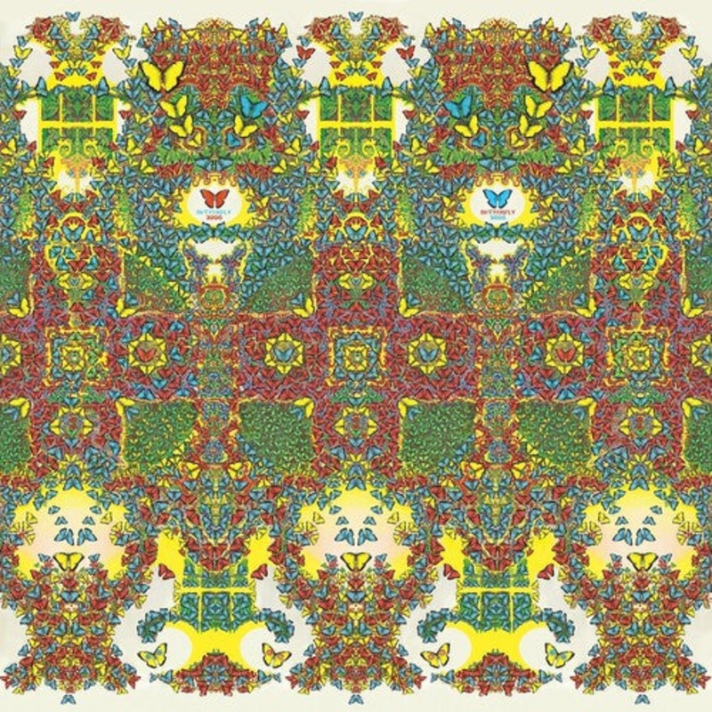 King Gizzard & the Lizard Wizard - Butterfly 3000