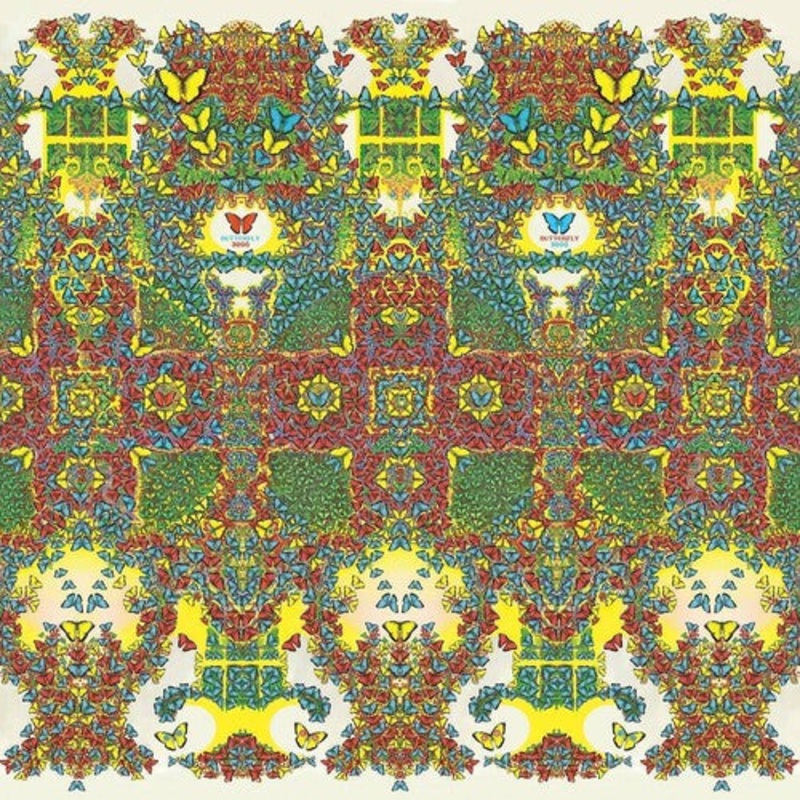 King Gizzard & the Lizard Wizard - Butterfly 3000 (English Cover LP)