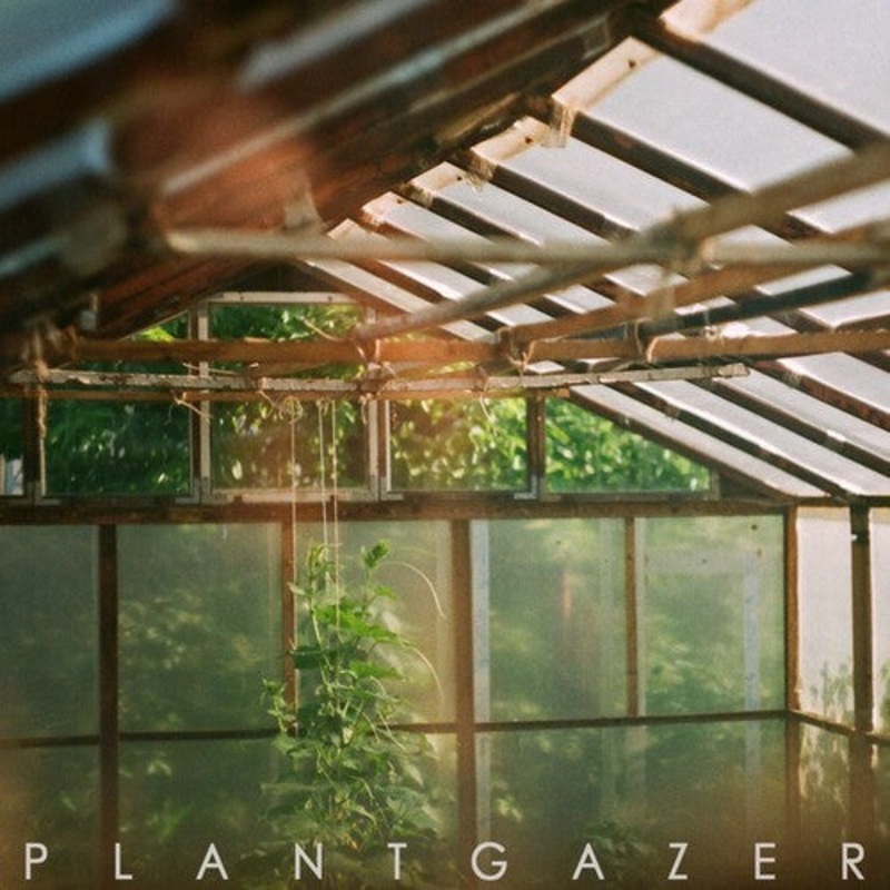 Show Me a Dinosaur - Plantgazer