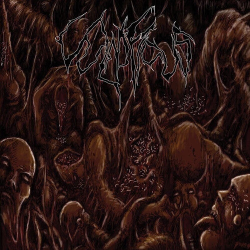 Vulnificus - Inclination