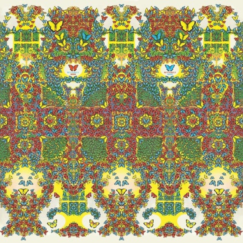 King Gizzard & the Lizard Wizard - Butterfly 3000 [Italian]