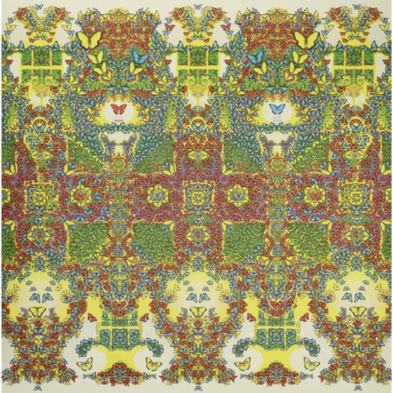 King Gizzard & the Lizard Wizard - Butterfly 3000 [Korean]