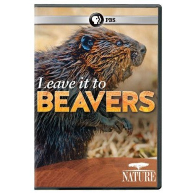 Nature: Leave It to Beavers