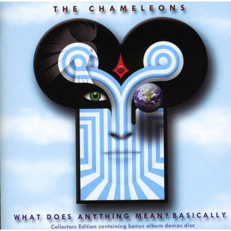 Chameleons - What Does Anything Mean? Basically